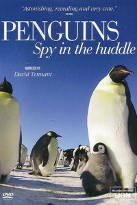 Постер к Пингвин: Шпион под прикрытием (1сезон)  / Penguins: Spy In The Huddle