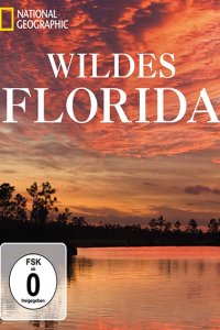 Постер к Дикая Флорида / Wild Florida (2013)