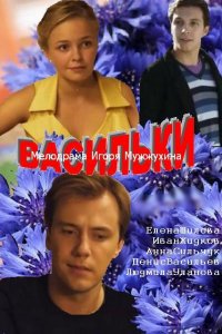 Постер к Васильки (2013)