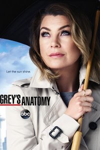 Постер к Анатомия Грей / Анатомия страсти (12 сезон) / Greys Anatomy (2015)