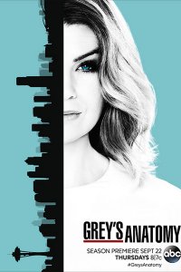 Постер к Анатомия Грей / Анатомия страсти (13 сезон) / Greys Anatomy (2016)