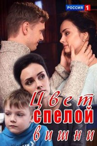 Постер к Цвет спелой вишни (2017)