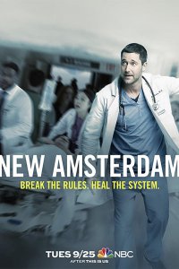 Постер к Новый Амстердам (1 сезон) / New Amsterdam (2018)