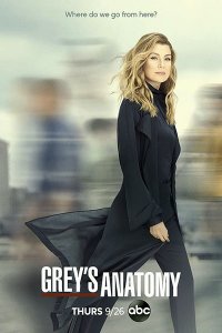 Постер к Анатомия Грей / Анатомия страсти (16 сезон) / Greys Anatomy (2019) WEB-DLRip