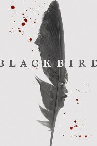 Постер к Чёрная птица (1 сезон) / Black Bird (2022) WEB-DLRip