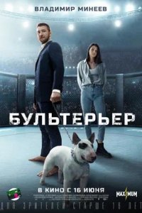 Постер к Бультерьер