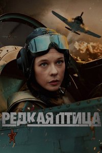 Постер к Редкая птица (2024) WEB-DLRip