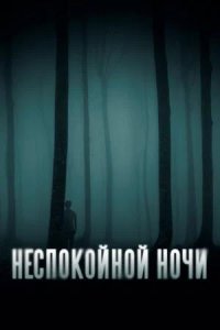 Постер к Неспокойной ночи