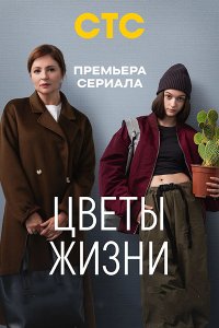 Постер к Цветы жизни (2024) WEB-DLRip